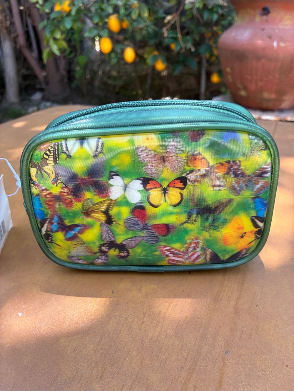 NWT Y2K Holographic Butterflies Mini Clutch Sheer